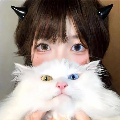 汤姆猫与杰利鼠：海盗寻宝